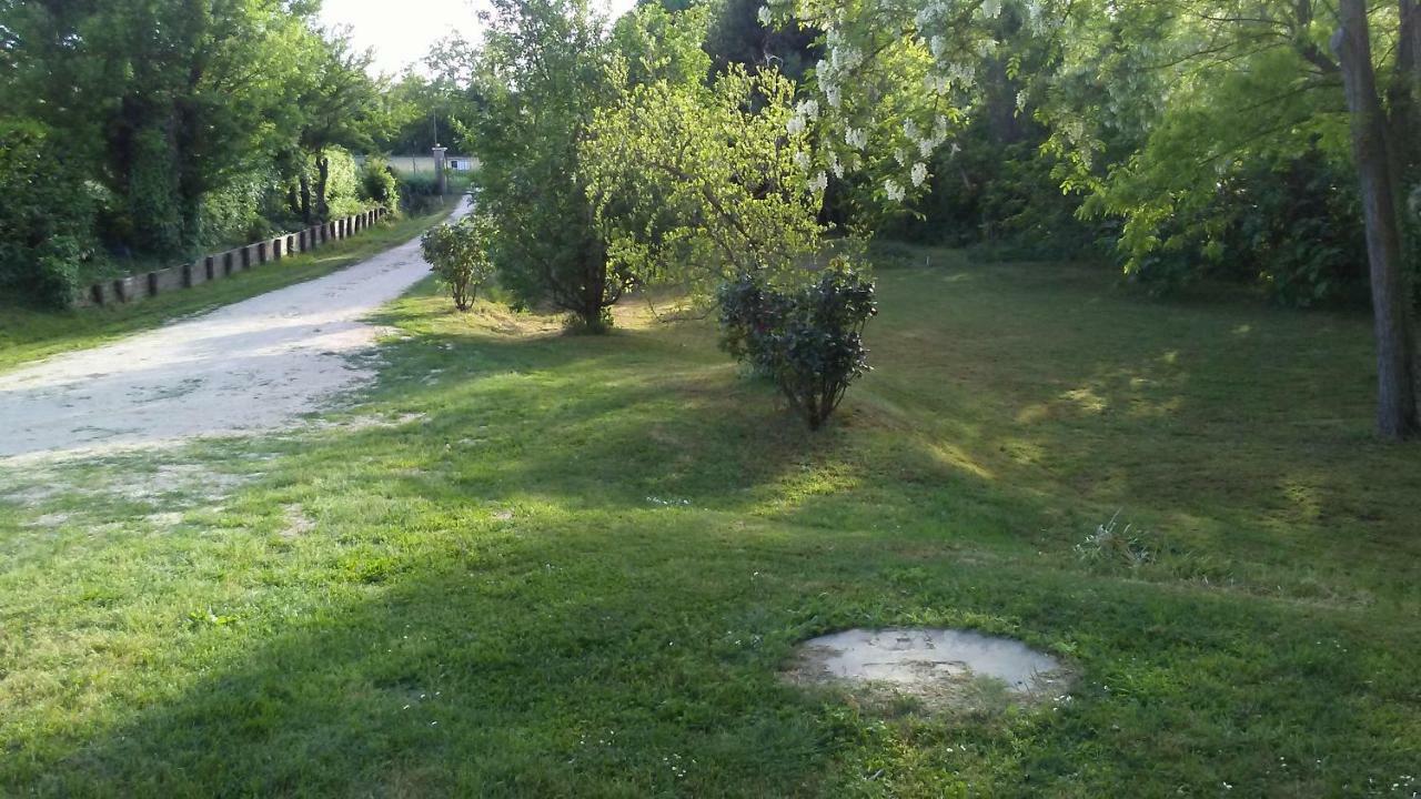 Bed And Breakfast Sile E Natura Sant'Elena di Silea Exteriör bild